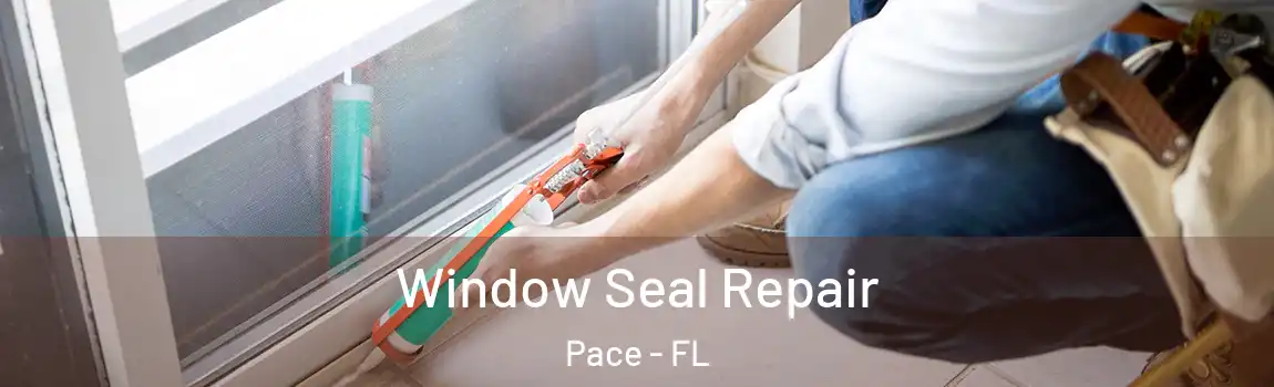  Window Seal Repair Pace - FL